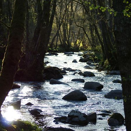 Le gîte de Chomet La Tour-dʼAuvergne Extérieur photo